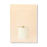 SCIENCE OF THE SECONDARY #10: TOILET PAPER